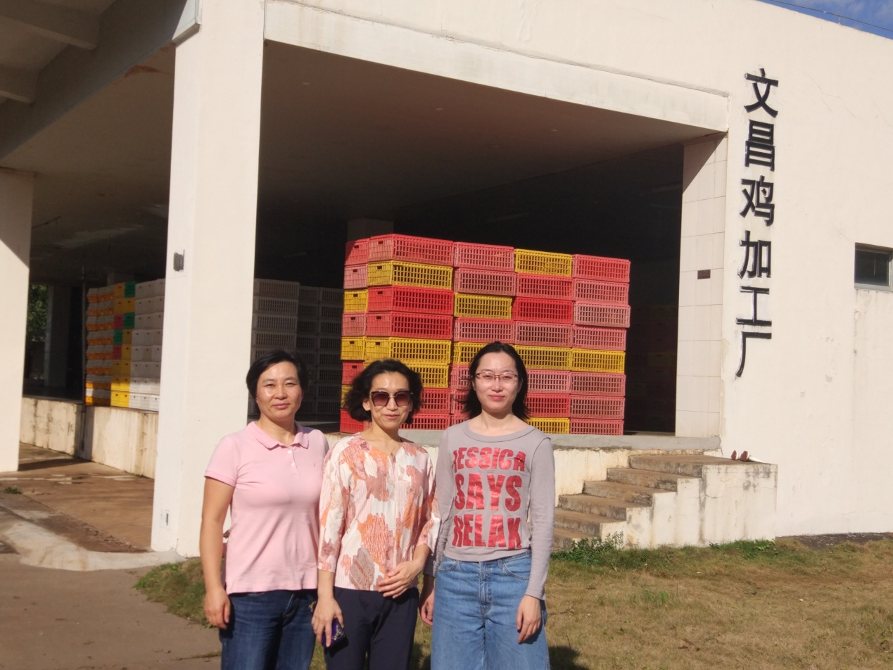 免疫与预防研究室-赵蕾-畜牧所科研人员赴海南文昌鸡企业技术指导-2020.01.05.jpg