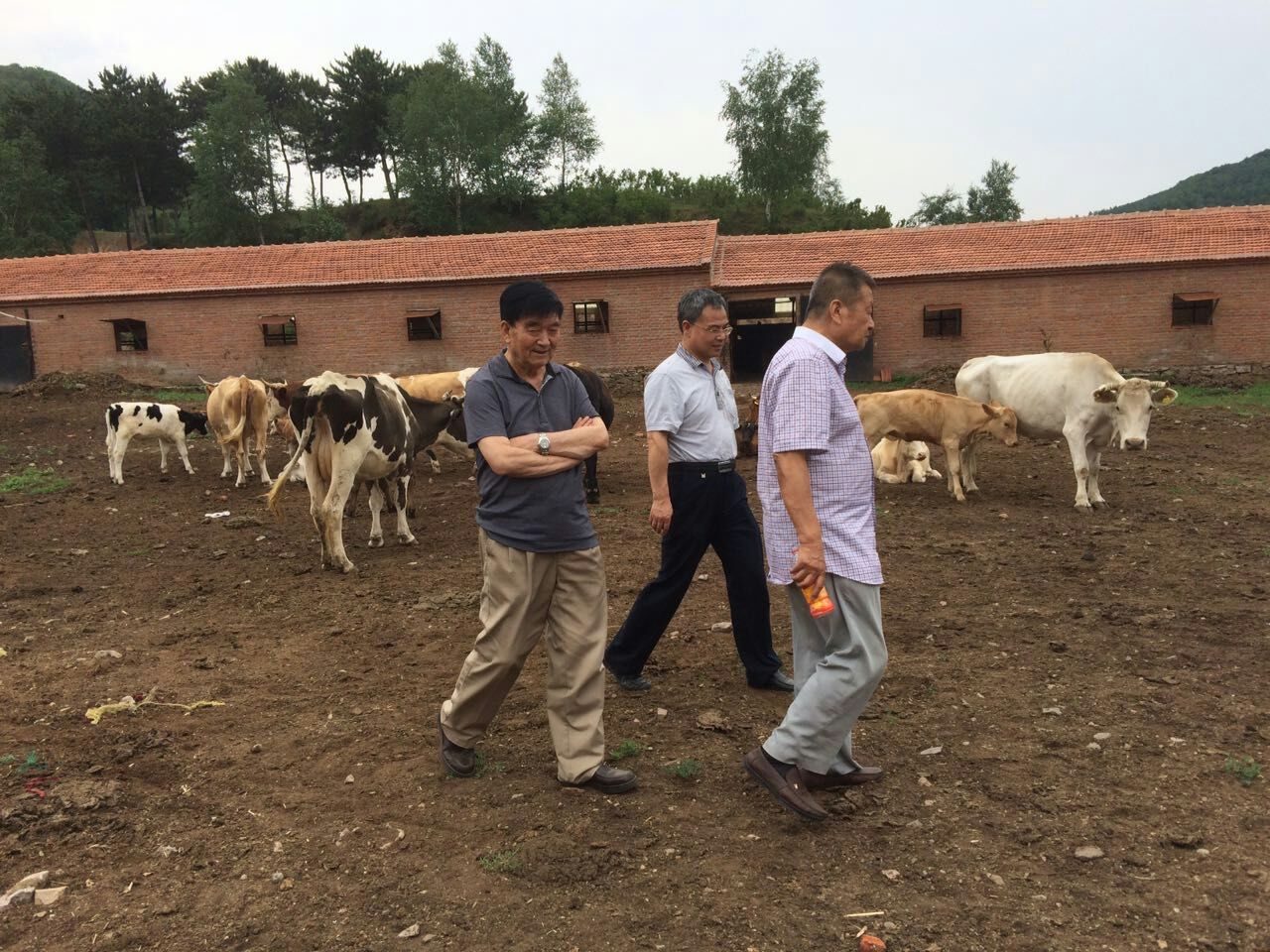小动物学会-范捷-畜牧所牛病专家团队赴河北省进行科技下乡服务-2016-07-26.jpg