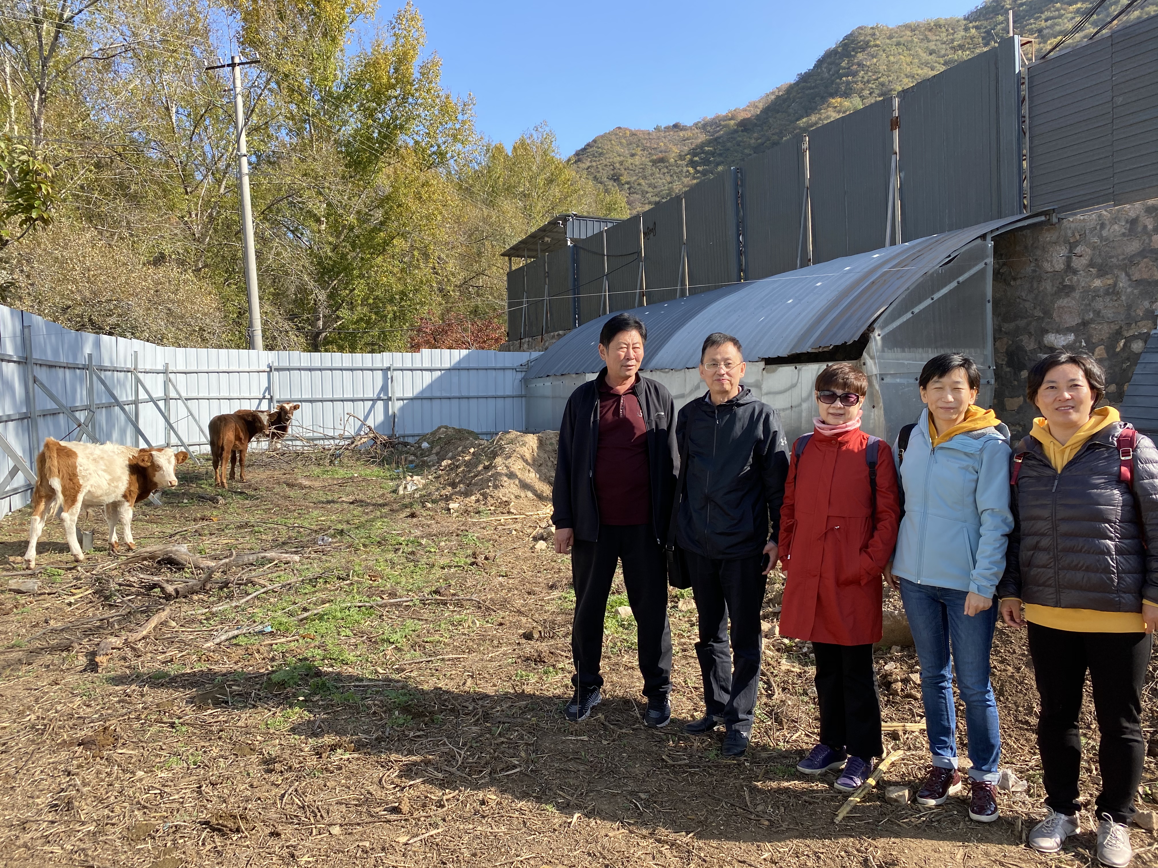 免疫与预防研究室-赵蕾-畜牧所专家赴北京延庆大庄科镇开展技术服务-2020.10.30.jpg