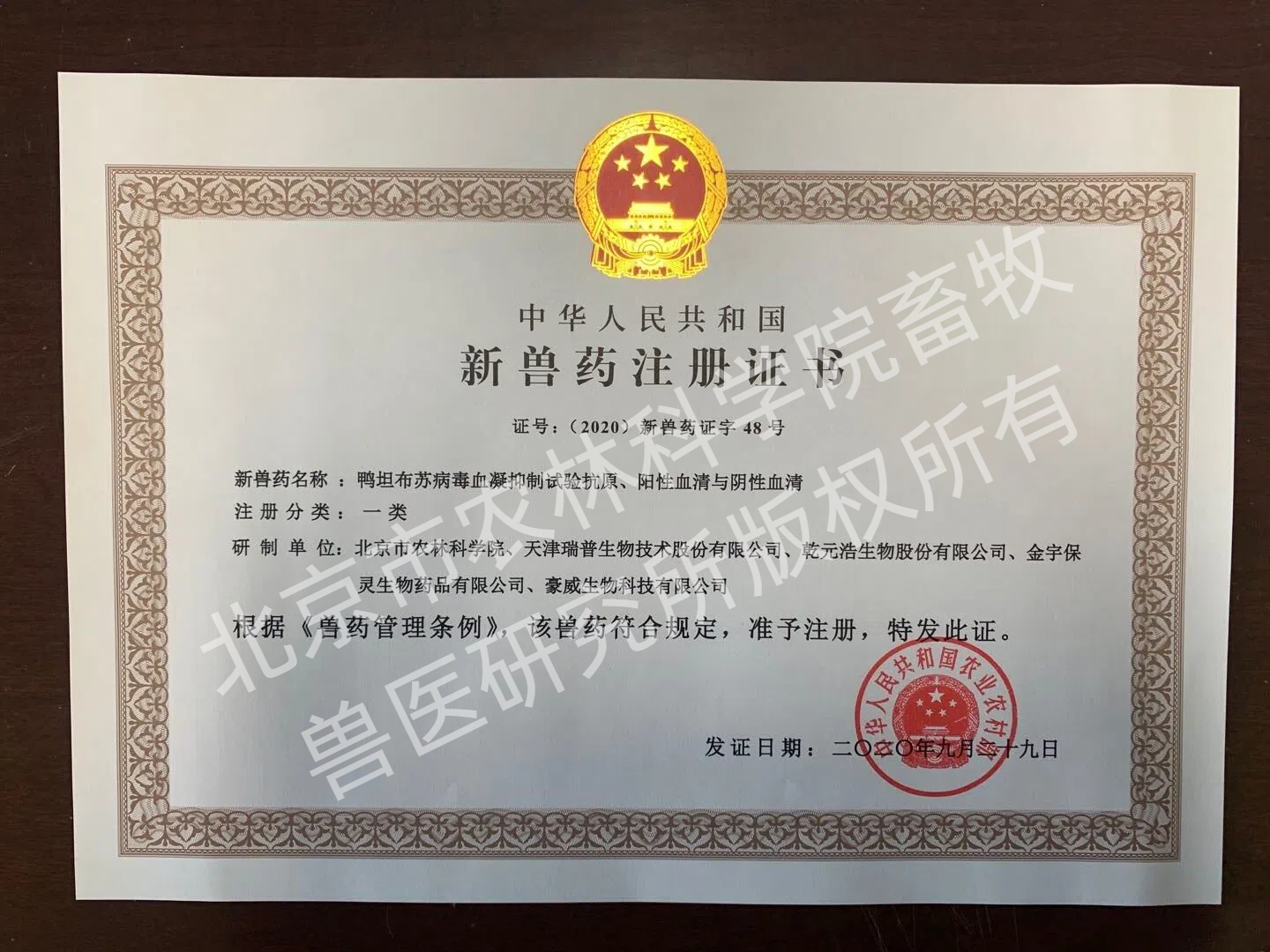动物疾病研究室-刘月焕-畜牧所“鸭坦布苏病毒血凝抑制试验抗原,阳性血清与阴性血清”荣获农业农村部颁发的一类新兽药证书-2020.10.14 (1).jpg