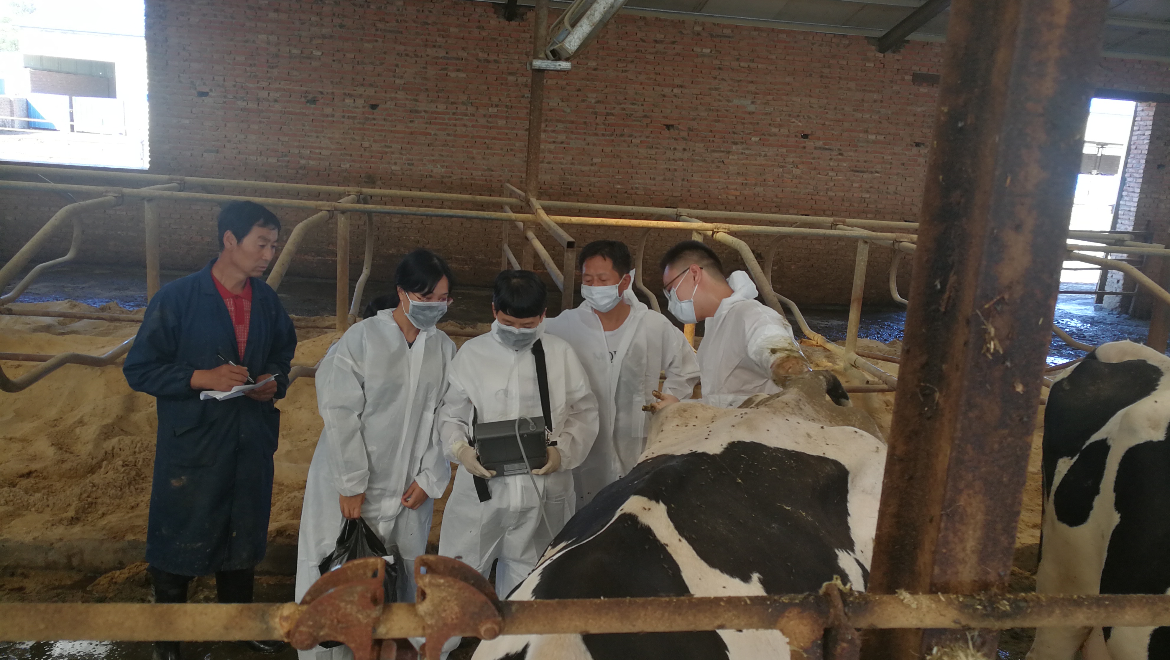 动物繁殖研究室-许晓玲-畜牧所繁殖团队深入河北“双百对接”基地开展技术指导-2017.09.15.jpg