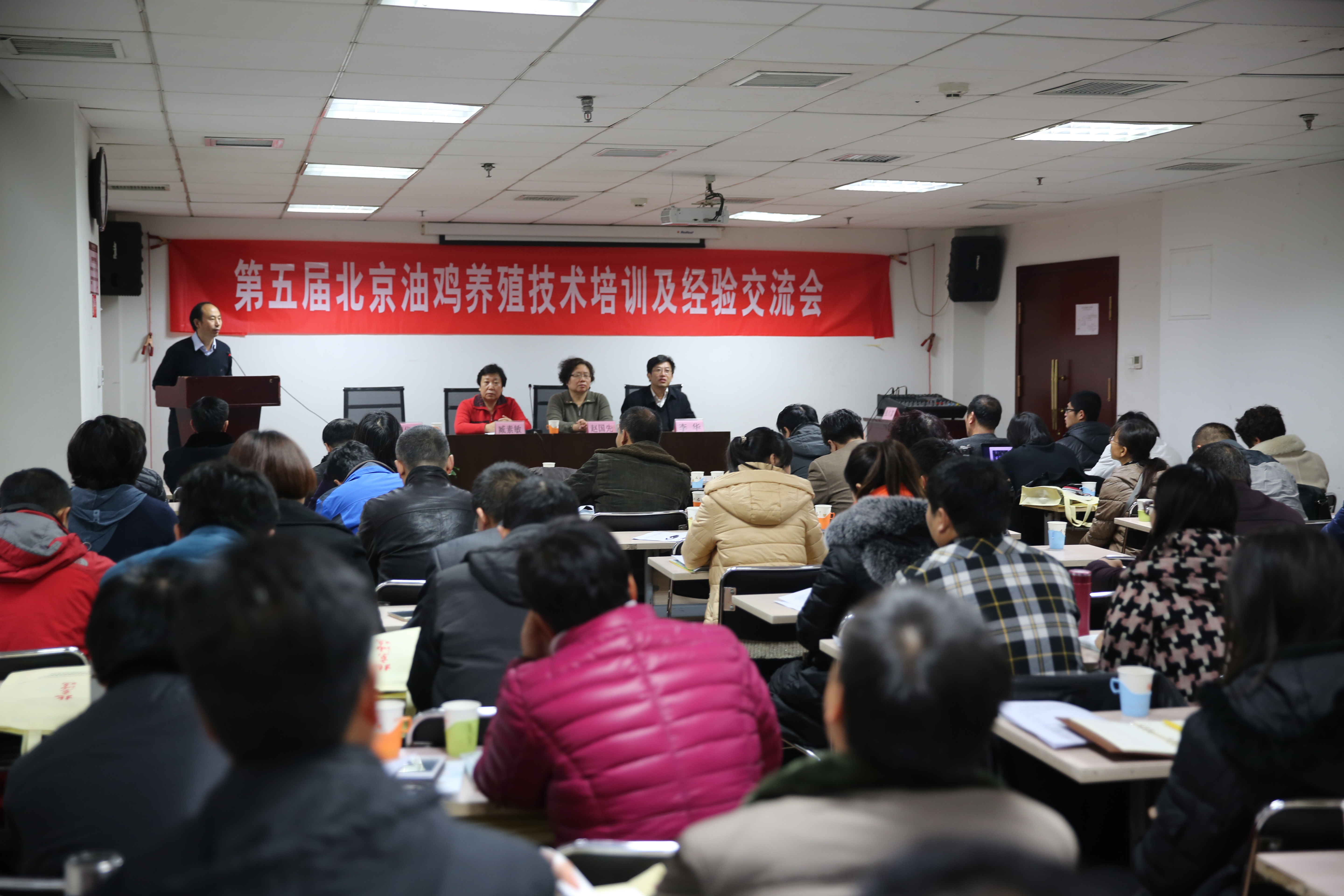 油鸡中心-初芹-畜牧所举办第五届北京油鸡养殖技术培训与经验交流会-2015.12.18.JPG